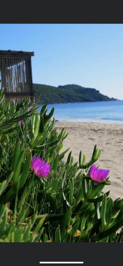 La Dolce Vita Mazet A Gassin Golfe De Saint Tropez エクステリア 写真